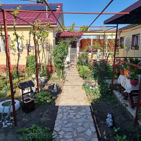 Hotel Casa Stefan Douăzeci şi Trei August Exterior foto